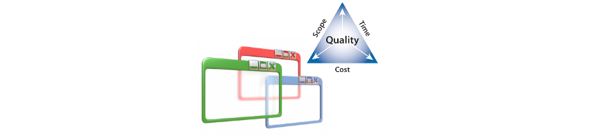 IT support for project management processes